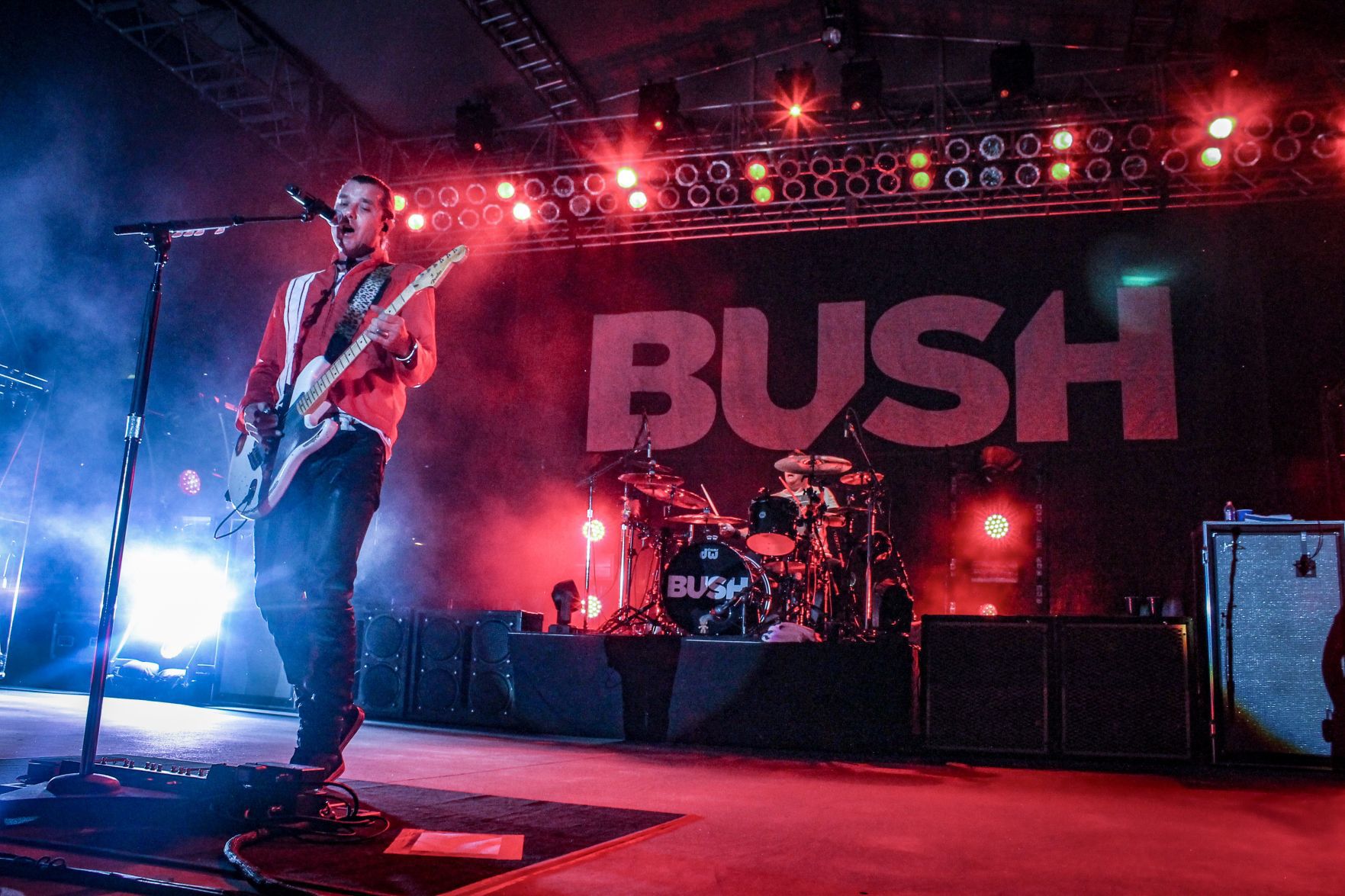 Bush